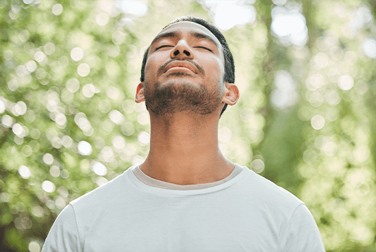 Reduces cortisol levels, a stress hormone. Promotes relaxation and a sense of well-being.